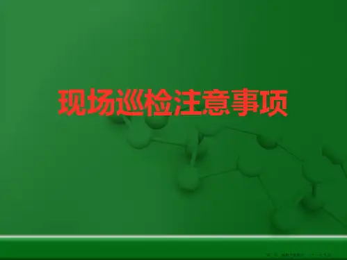 电厂点检现场巡检注意事项