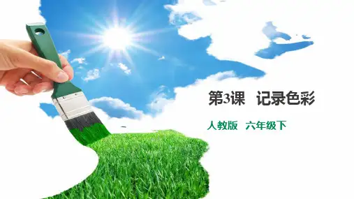 《记录色彩》PPT