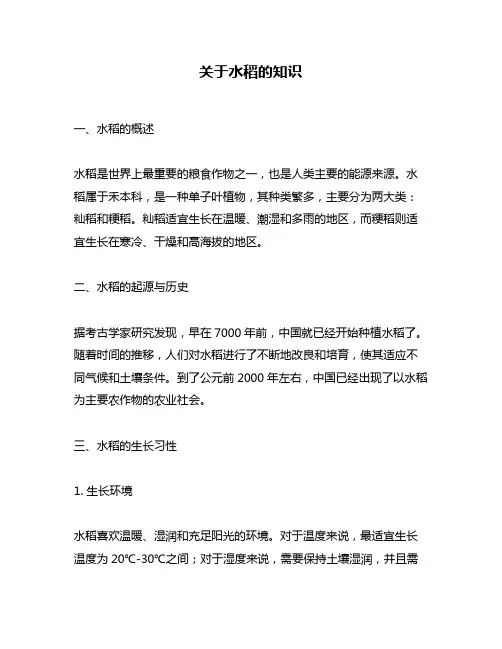 关于水稻的知识