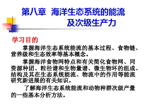 海洋生态系统的能流讲解