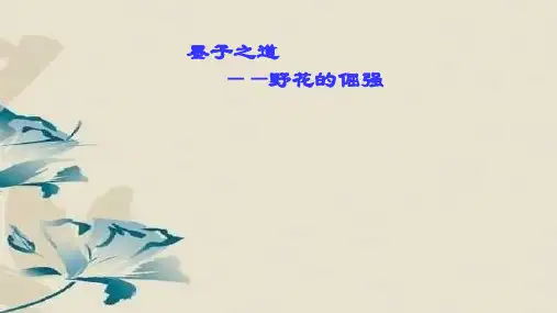 《兼爱》ppt课件