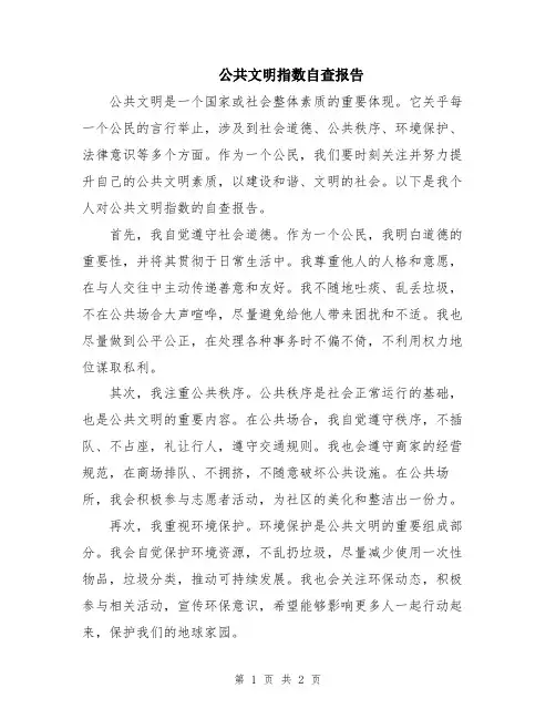 公共文明指数自查报告