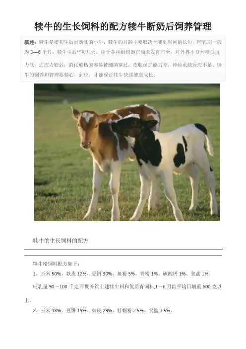 犊牛的生长饲料的配方犊牛断奶后饲养管理