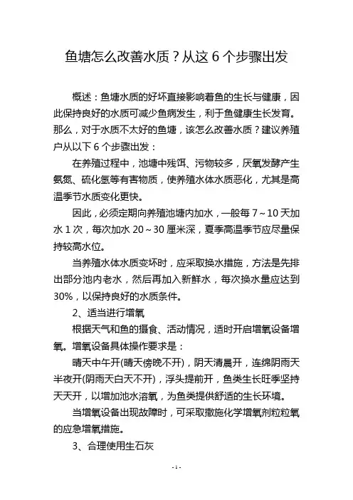 鱼塘怎么改善水质？从这6个步骤出发