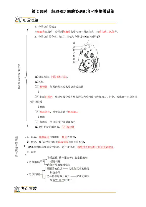 3.2.2 细胞器之间的协调配合和生物膜系统(学生版)-高中生物同步精品讲义(必修一)