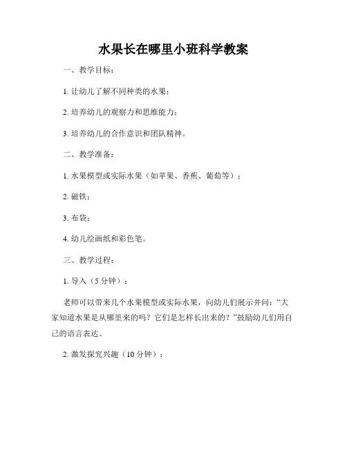 水果长在哪里小班科学教案
