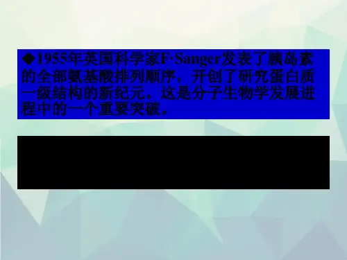蛋白质一级结构测定