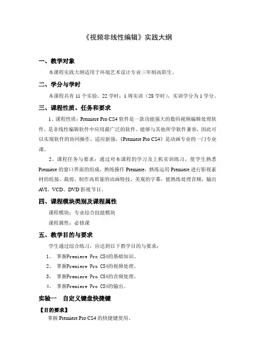 视频非线性编辑实践大纲