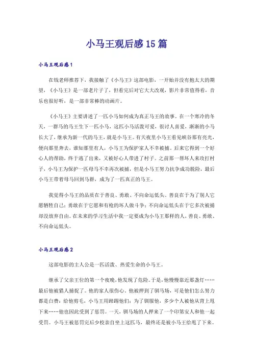 小马王观后感15篇
