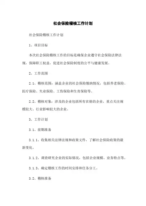 社会保险稽核工作计划