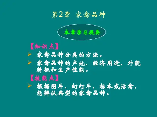 家禽的常见品种