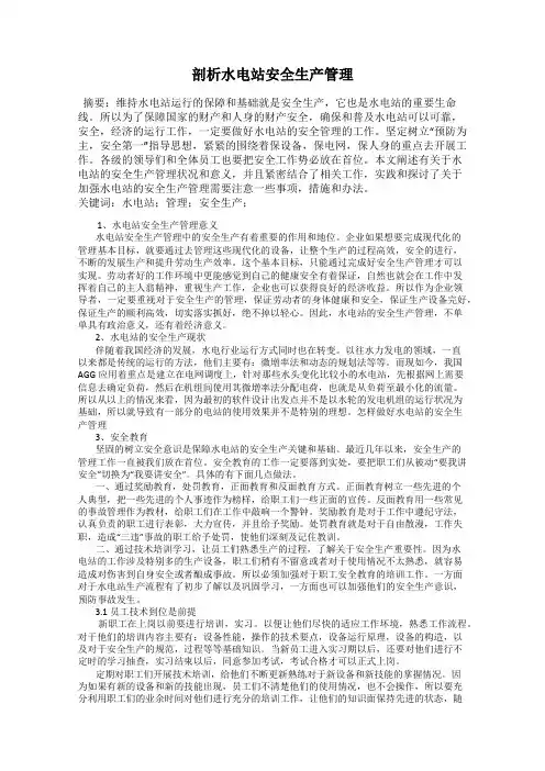 剖析水电站安全生产管理