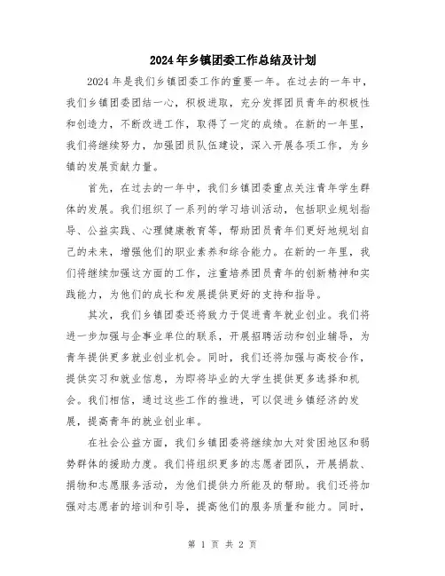 2024年乡镇团委工作总结及计划