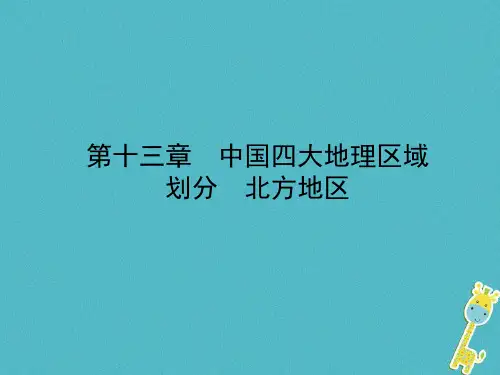 山东省济宁市2018年中考地理第十三章中国四大地理区域划分复习课件