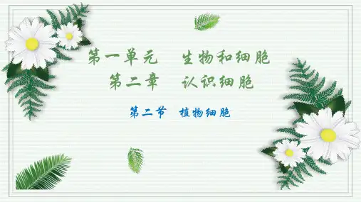 植物细胞ppt课件
