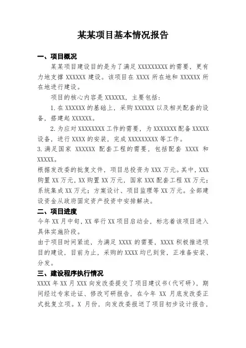 稽查项目基本情况报告模板(报发改委)