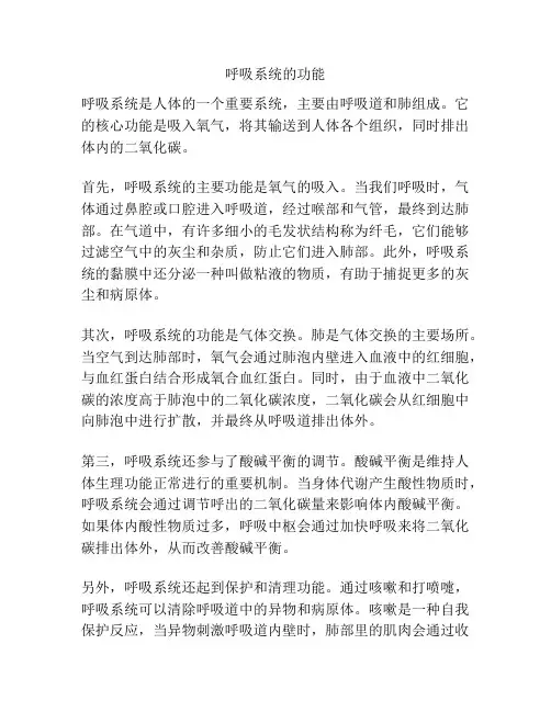 呼吸系统的功能