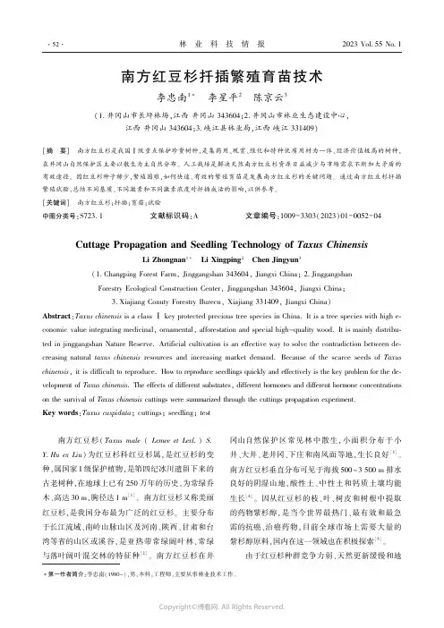 南方红豆杉扦插繁殖育苗技术