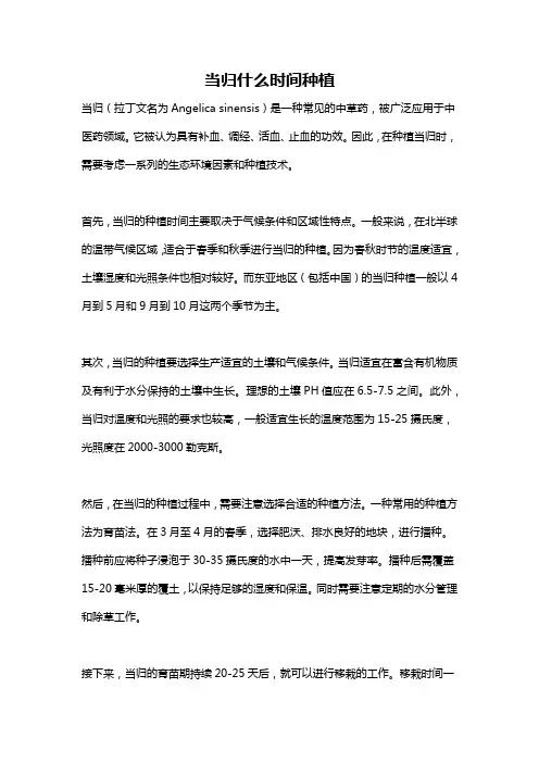 当归什么时间种植