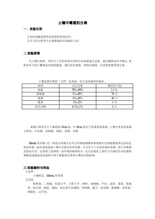 土壤中霉菌的分离