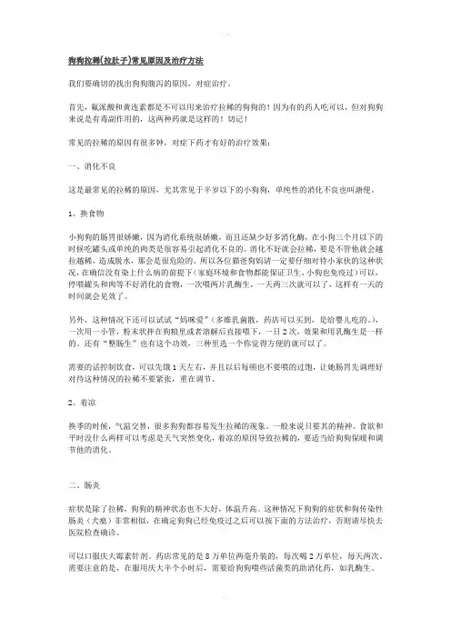 狗狗拉稀的常见原因及治疗方法