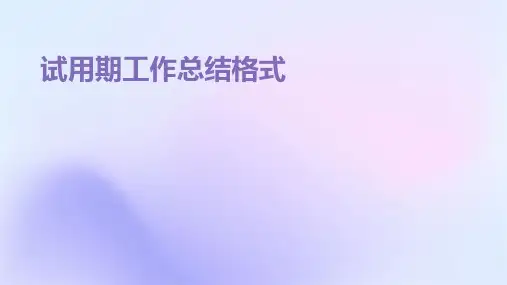 试用期工作总结格式PPT