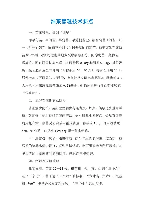 油菜管理技术要点