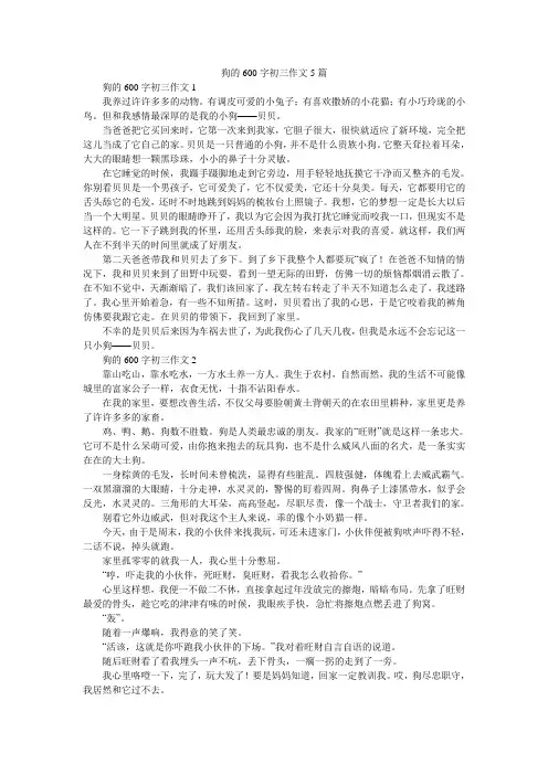 狗的600字初三作文5篇