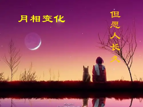 3.2.教科版小学科学六年级下册第三单元《月相变化》