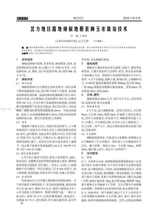 北方地区露地辣椒地膜套种玉米栽培技术