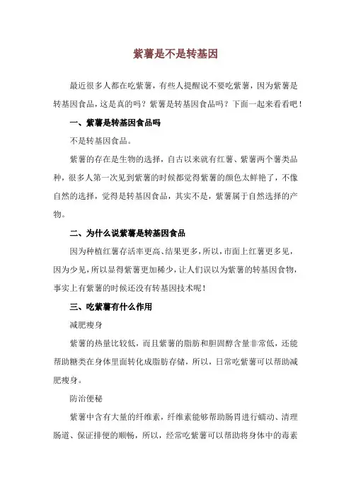 紫薯是不是转基因_1