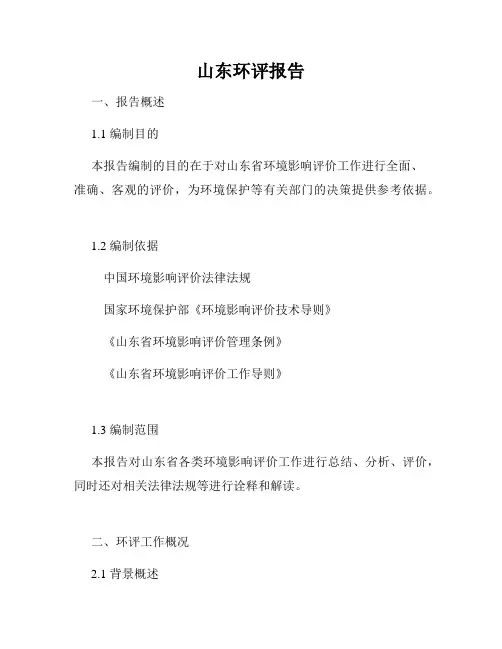 山东环评报告