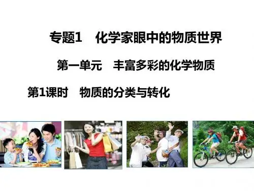 苏教版高中化学必修一课件1.1.1物质的分类与转化课件2