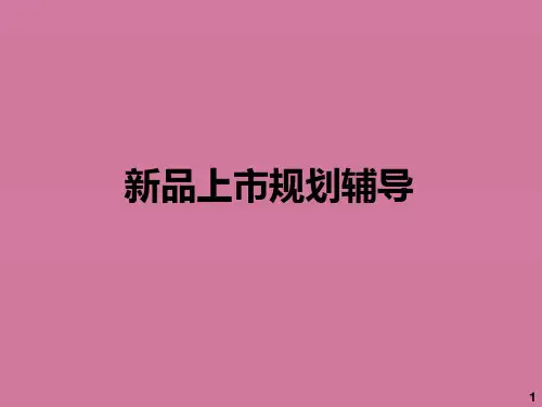 品牌营销战略之2新品上市规划辅导ppt课件