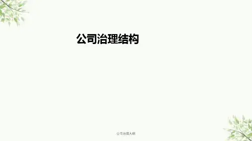 公司治理大纲课件