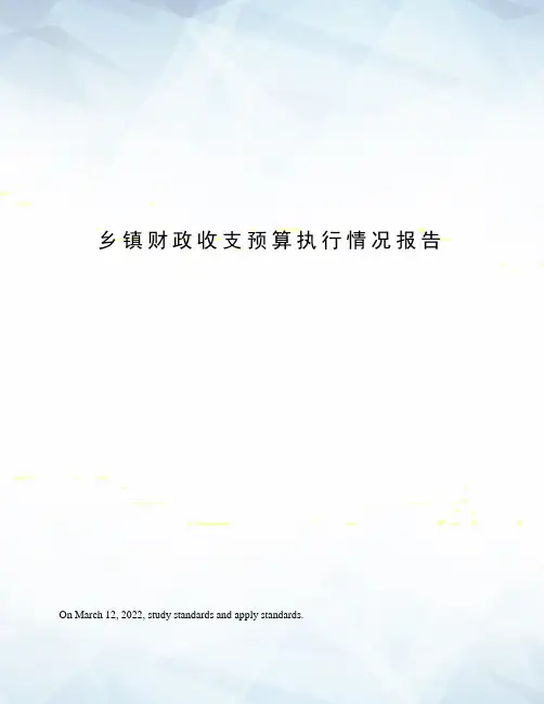 乡镇财政收支预算执行情况报告