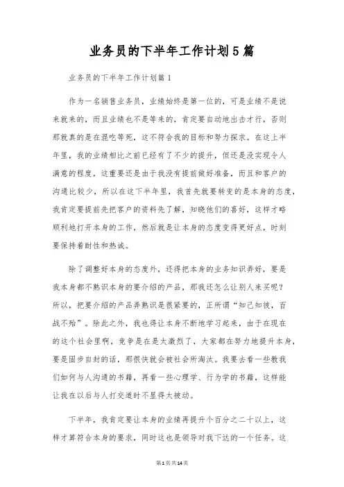 业务员的下半年工作计划5篇