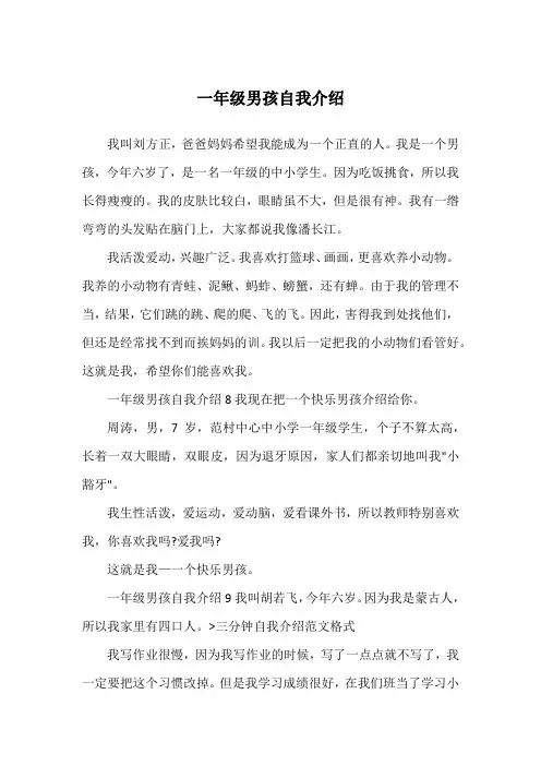 一年级男孩自我介绍