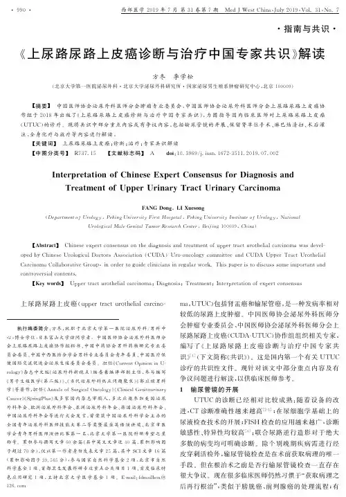 《上尿路尿路上皮癌诊断与治疗中国专家共识》解读