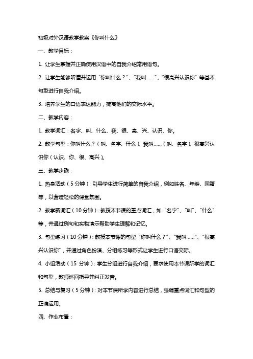 初级对外汉语教学教案《你叫什么》