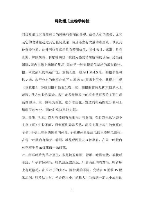 网纹甜瓜生物学特性