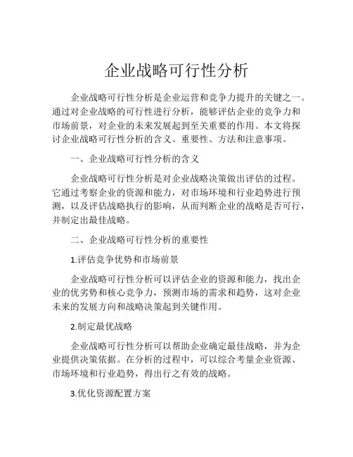 企业战略可行性分析