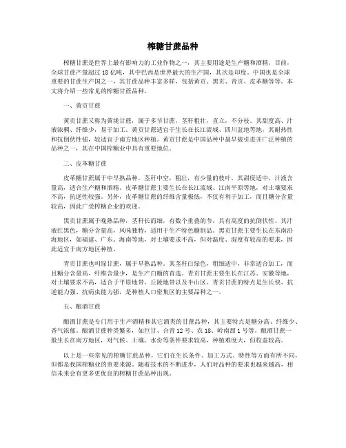 榨糖甘蔗品种
