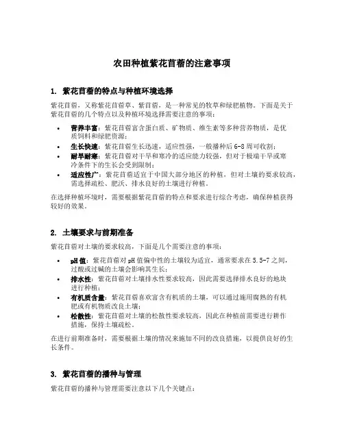 农田种植紫花苜蓿应注意的几个问题