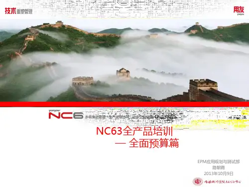 NC全产品培训全面预算PPT课件