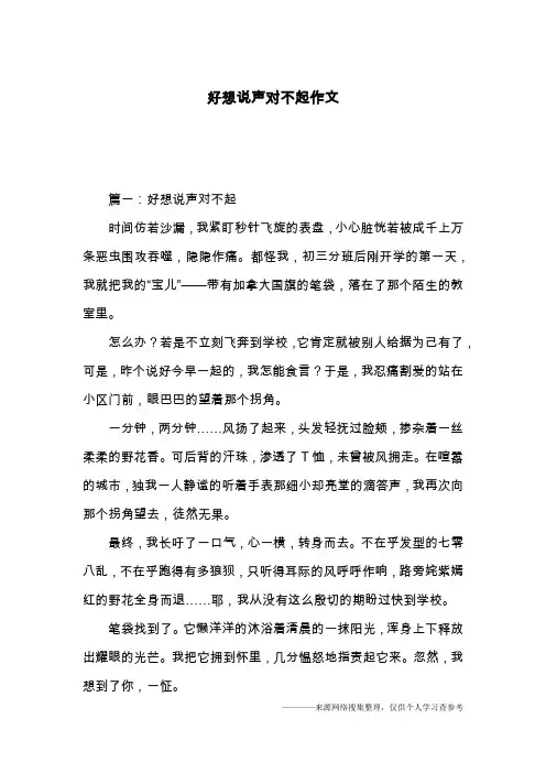 好想说声对不起作文