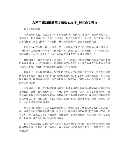 忘不了那双眼睛范文精选600字_初三作文范文