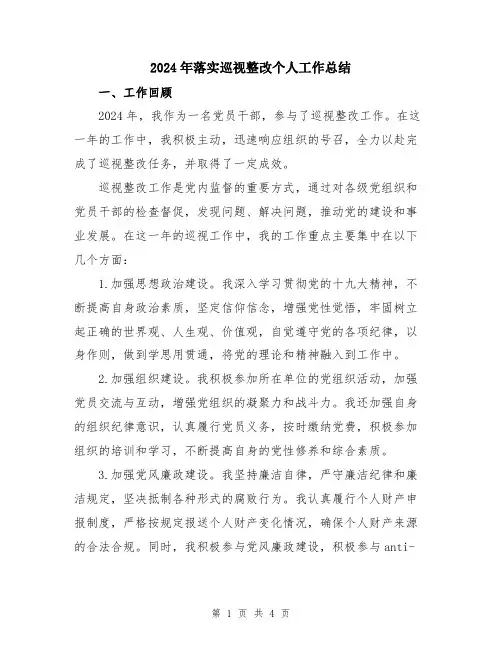 2024年落实巡视整改个人工作总结