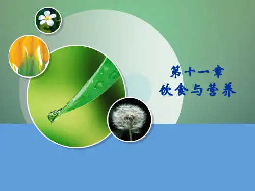 护理学基础第13章营养与饮食