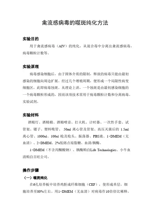 禽流感病毒的噬斑纯化方法